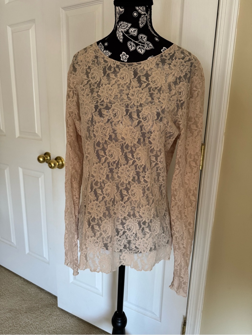 Delicate Lace Long-Sleeve Top in Nude